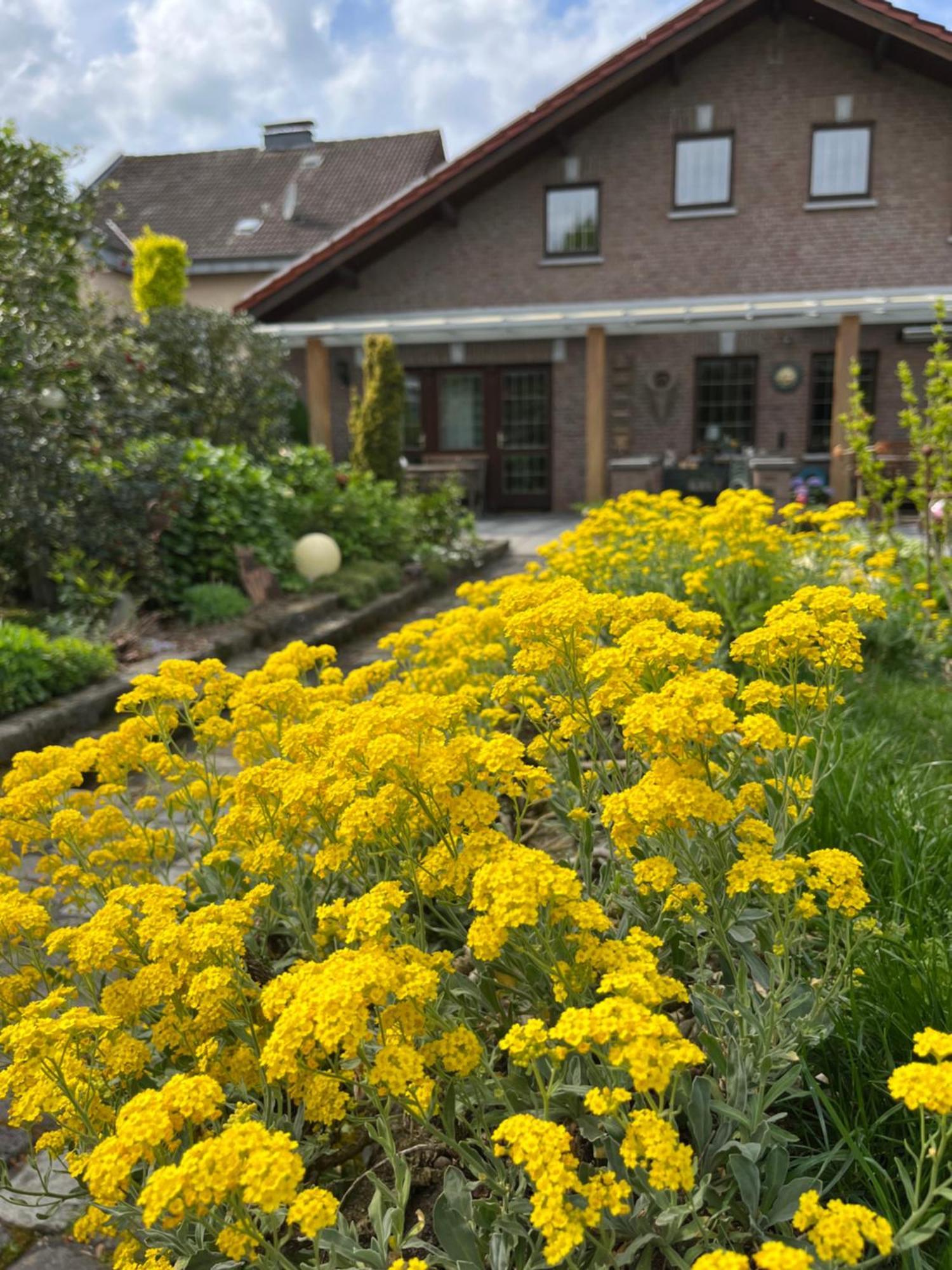 Ferienwohnung Jansen Selfkant Dış mekan fotoğraf